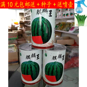 【无籽西瓜种子蔬菜价格】最新无籽西瓜种子蔬