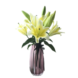 【南宁喜之洋花店】南宁花店11支19朵红香槟