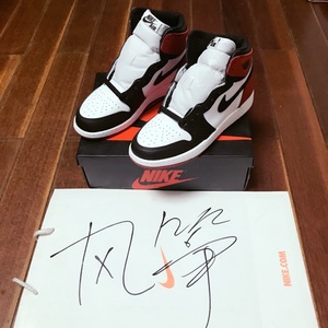 aj风筝篮球鞋图片