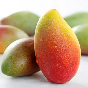 红金龙芒果大图片