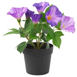 小翟北京宜家ikea菲卡人造盆栽植物  盆景 牵牛花 淡紫 ￥ 24.9 ￥0.