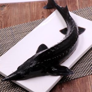 【冷水鱼活体小型图片】冷水鱼活体小型图片大