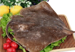 丹东特产海鲜鲜活水产老板鱼孔鳐铧子冰冻锅盖鱼系列促销500g热卖