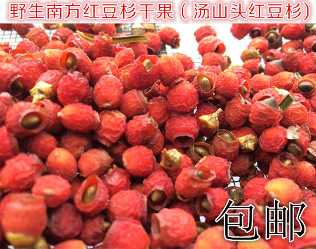 野生南方紅豆杉乾果/鮮果乾/果子/果實紅豆杉果泡酒泡茶 半斤包郵