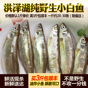 洪澤湖特產野生刁子500g小白魚小魚小餐條參子 span class=h>淡水魚 