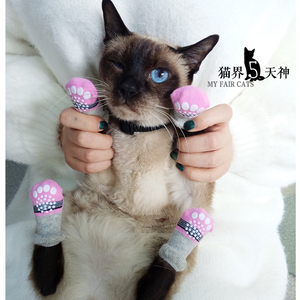 class=h>袜子 /span>猫咪 span class=h>纯棉 /span>脚套防滑防抓秋
