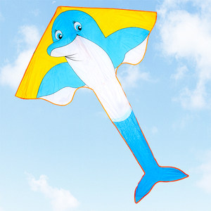 风筝海豚图片