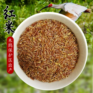 陕西汉中洋县朱鹮之乡红香米纯天然农家自产杂粮红米红香米500g装