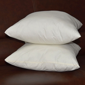 优质抱枕芯pp棉抱枕芯靠垫芯时尚简约抱枕工厂直销多种尺寸可定制