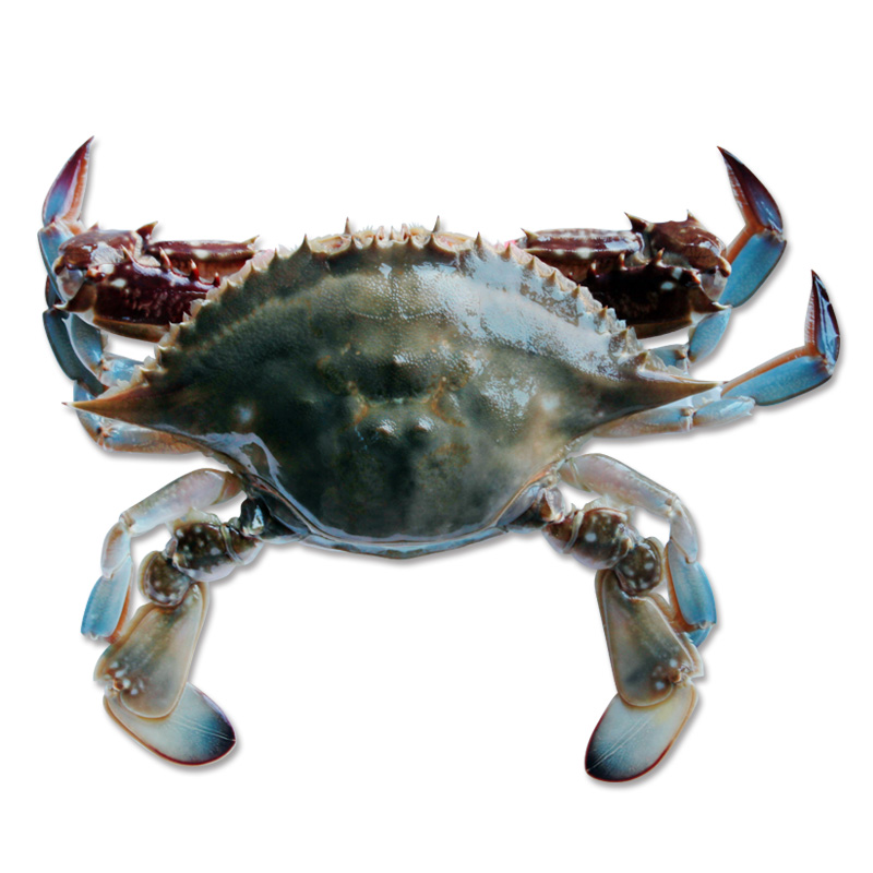 搜索"渤海"的宝贝结果页 - 第1页 - 优购库|淘宝优惠券|天猫优惠券