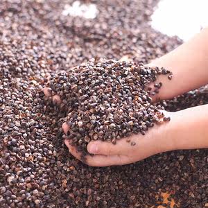 【枕头填充物图片】枕头填充物图片大全