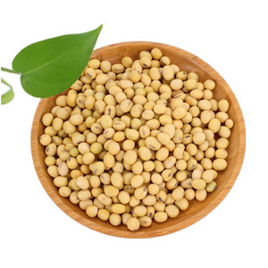 大黄豆非转基因图片