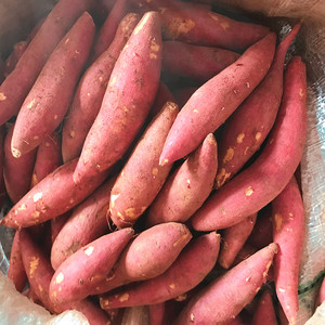 红心红薯新鲜六鳌图片