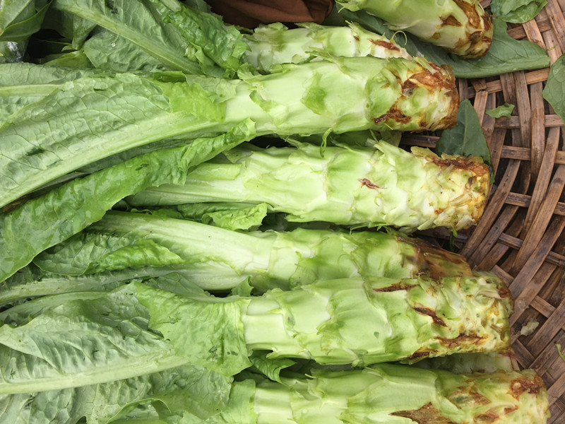 南京农家自种莴笋 莴苣 香莴笋新鲜蔬菜同城配送一斤6.