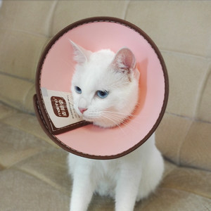 伊丽莎白圈猫脖套脖圈 span class=h>头套 /span>头罩猫咪防舔防咬 