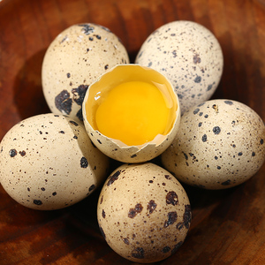 生鹌鹑蛋图片