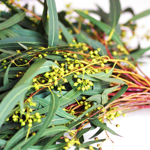 品牌名称: 小米果鲜花