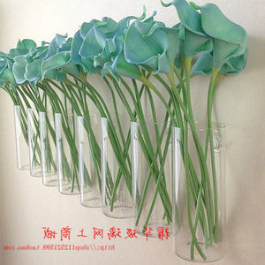 【圆柱形鱼缸图片】圆柱形鱼缸图片大全