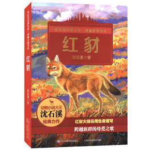 小說感悟生命書系 狼王夢姊妹篇 紅豺 作者沈石溪 雪域豹影 狼國女王