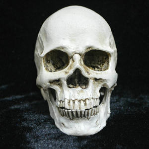 【树脂骷髅头图片】树脂骷髅头图片大全 - q友网