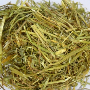 包邮 黄金燕麦草澳麦进口燕麦草500g兔子荷兰猪