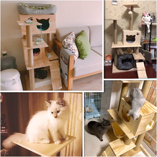 叫客厅会猫咪床高猫爬架花型小型多层小型夏单猫木猫墙壁小型小型
