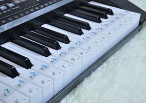 钢琴键盘贴纸88键61键透明电子琴手卷钢琴键
