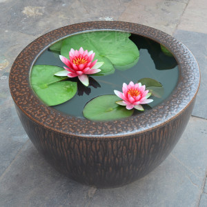 陶瓷鱼缸养鱼缸水缸庭院 span class=h>睡莲 /span>缸 span class=h>