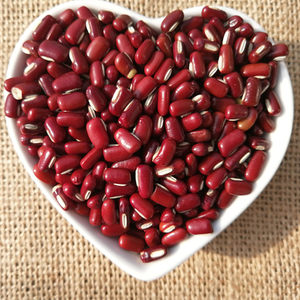 赤小豆药用图片