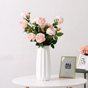 白色的百合图片