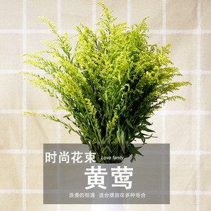 云南黄莺花束小清新送礼 阳台卧室摆饰养花插花