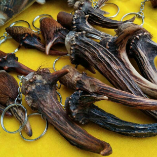 新品天然麂子角黄猄角特大号怪角吊坠平安钥匙扣汽车包包工艺品