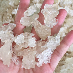 class=h>雪燕 /span>500g1斤批发缅甸越南印尼植物 span class=h>燕窝