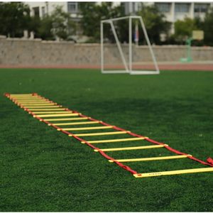 【拳击步伐训练梯图片】拳击步伐训练梯图片大