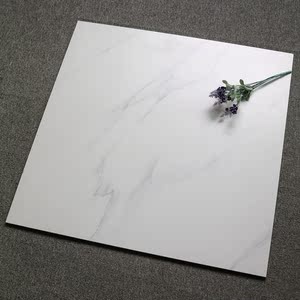 北欧白色纹理 span class=h>瓷砖 /span>800x800雅士白地板砖哑光面