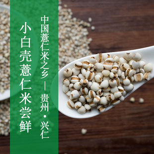 贵州兴仁特产新鲜薏米小白壳薏米仁薏苡五谷杂粮粗粮450g非大薏米