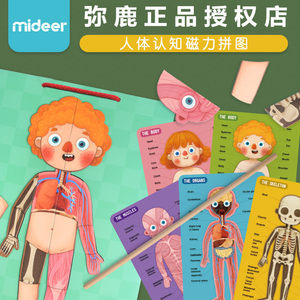 MiDeer弥鹿儿童人体认知拼图宝宝磁力贴挂板