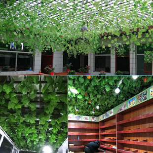 家里挂饰房间饭店吊挂屋顶挂件吊顶室内绿植创意树藤绿叶装饰品农