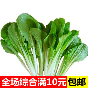 class=h>四季青 /span> span class=h>小 /span> span class=h>白菜 