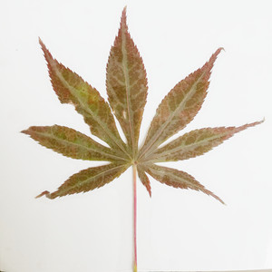 防水护卡A6高清透明膜纯手工制作5寸冷裱膜照