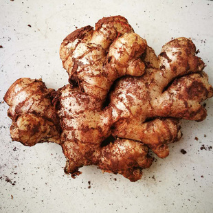 无硫熏自种产品云南罗平新鲜小黄姜生母大黄土月子老嫩姜4斤包邮