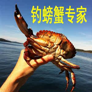 【海螃蟹笼价格】最新海螃蟹笼价格\/批发报价