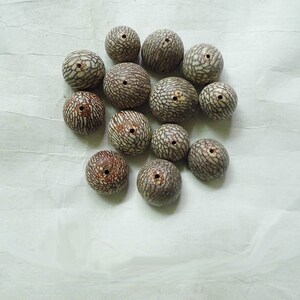 大金丝菩提价格