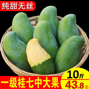 【百色芒果大青芒价格】最新百色芒果大青芒价