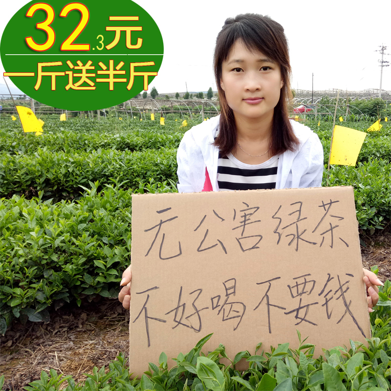 日照绿茶2019新茶春茶云雾害山东炒青高山茶叶礼盒散装500g浓香