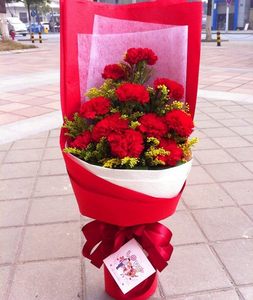 哈尔滨鲜花速递 康乃馨 span class=h>花束 /span> 母亲节鲜花 扇形