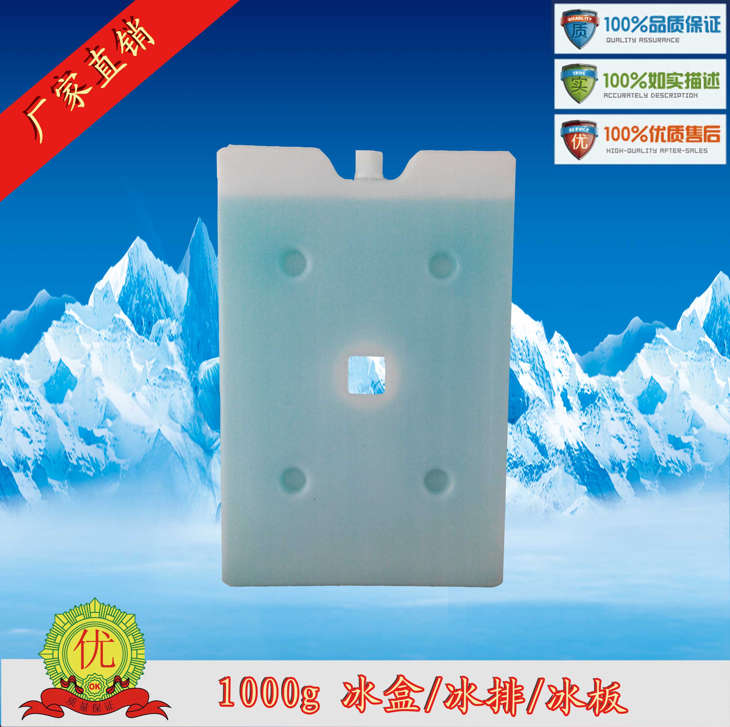 蓄冷冰板冰排冰晶冰盒大容量1000克300*200*20蓄能冰砖 食品医药