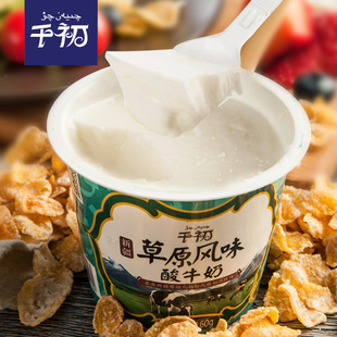 千初草原酸奶 新疆低温风味发酵奶酸牛奶1箱160gx12杯盒装老酸奶