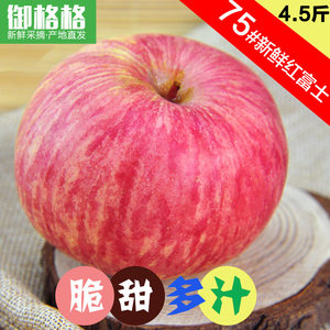 烟台苹果新鲜水果栖霞红富士山东特产吃的脆甜