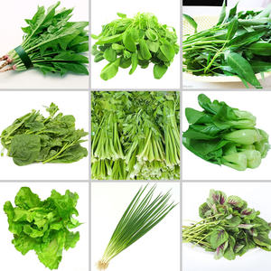 正品绿色  公害有机农家特产蔬菜种子菜苗套餐阳台春秋四季可播